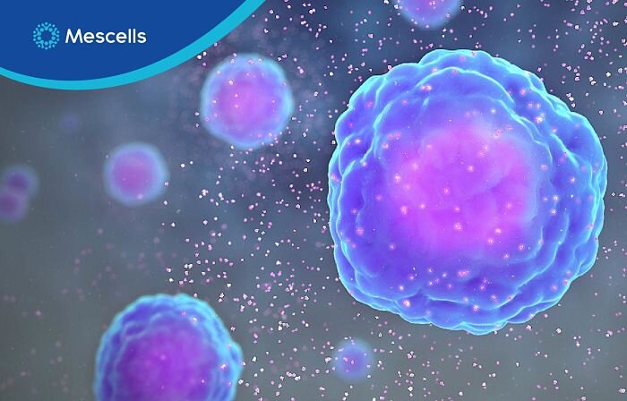 3-giai-doan-tan-cong-nguy-hiem-cua-corona-virus-2-1