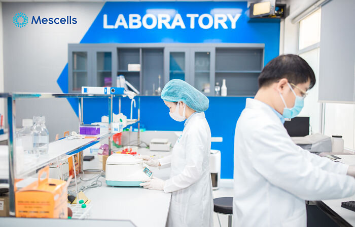 cay-ghep-te-bao-goc-3