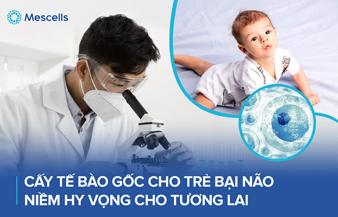 cay-te-bao-goc-cho-tre-bai-nao-2