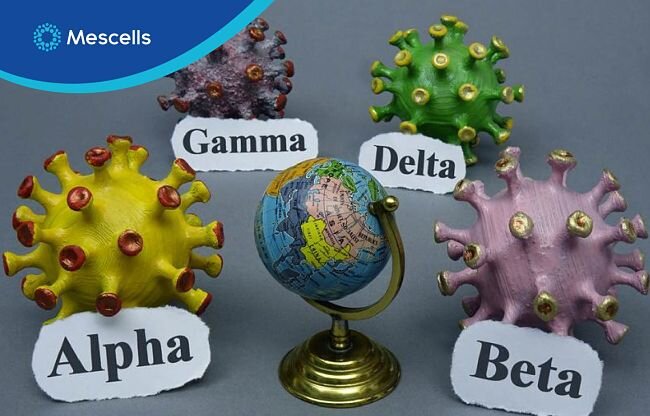 dai-dich-covid19-tang-nguy-co-tu-vong-va-he-qua-sau-hoi-phuc-3-1