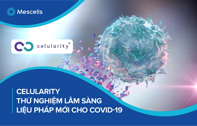 lieu-phap-te-bao-goc-cho-covid-19-va-hoi-chung-suy-ho-hap-cap-tinh