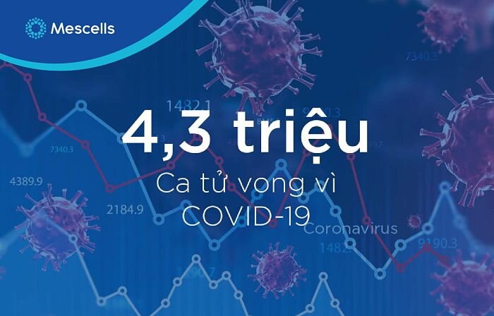 moi-lien-he-giua-te-bao-phoi-va-te-bao-goc-van-nang-cam-ung-trong-cac-nghien-cuu-ve-covid19-3-1