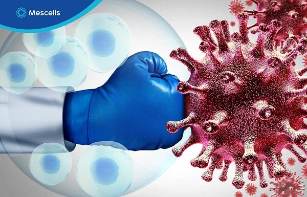 nhung-anh-huong-lau-dai-cua-covid-19-va-vai-tro-cua-te-bao-goc-4