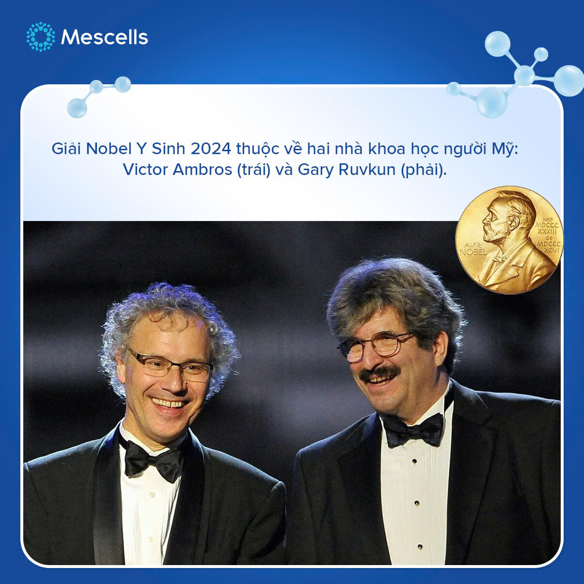 nhung-dieu-can-biet-ve-microrna-kham-pha-gianh-giai-nobel-y-sinh-2024-12