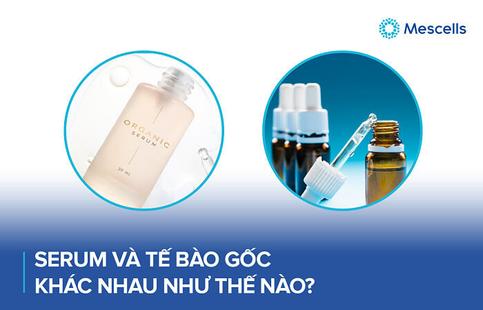 serum-va-te-bao-goc-khac-nhau-nhu-the-nao-1