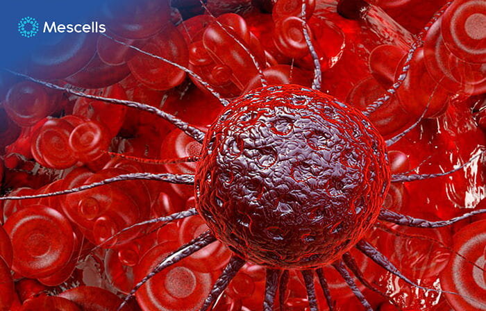 te-bao-goc-chua-duoc-nhung-benh-gi-3-1