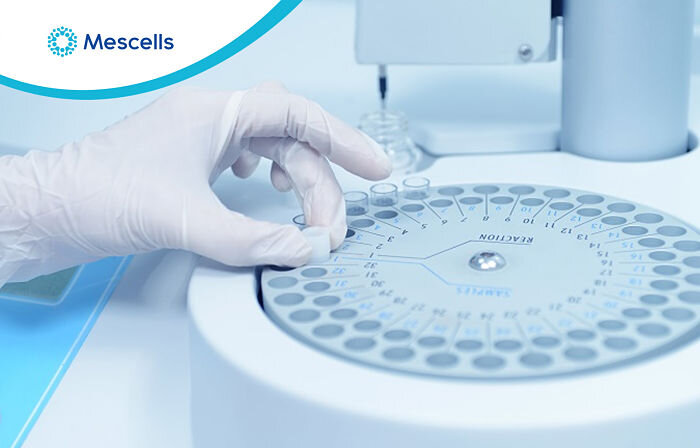 te-bao-goc-toan-nang-3