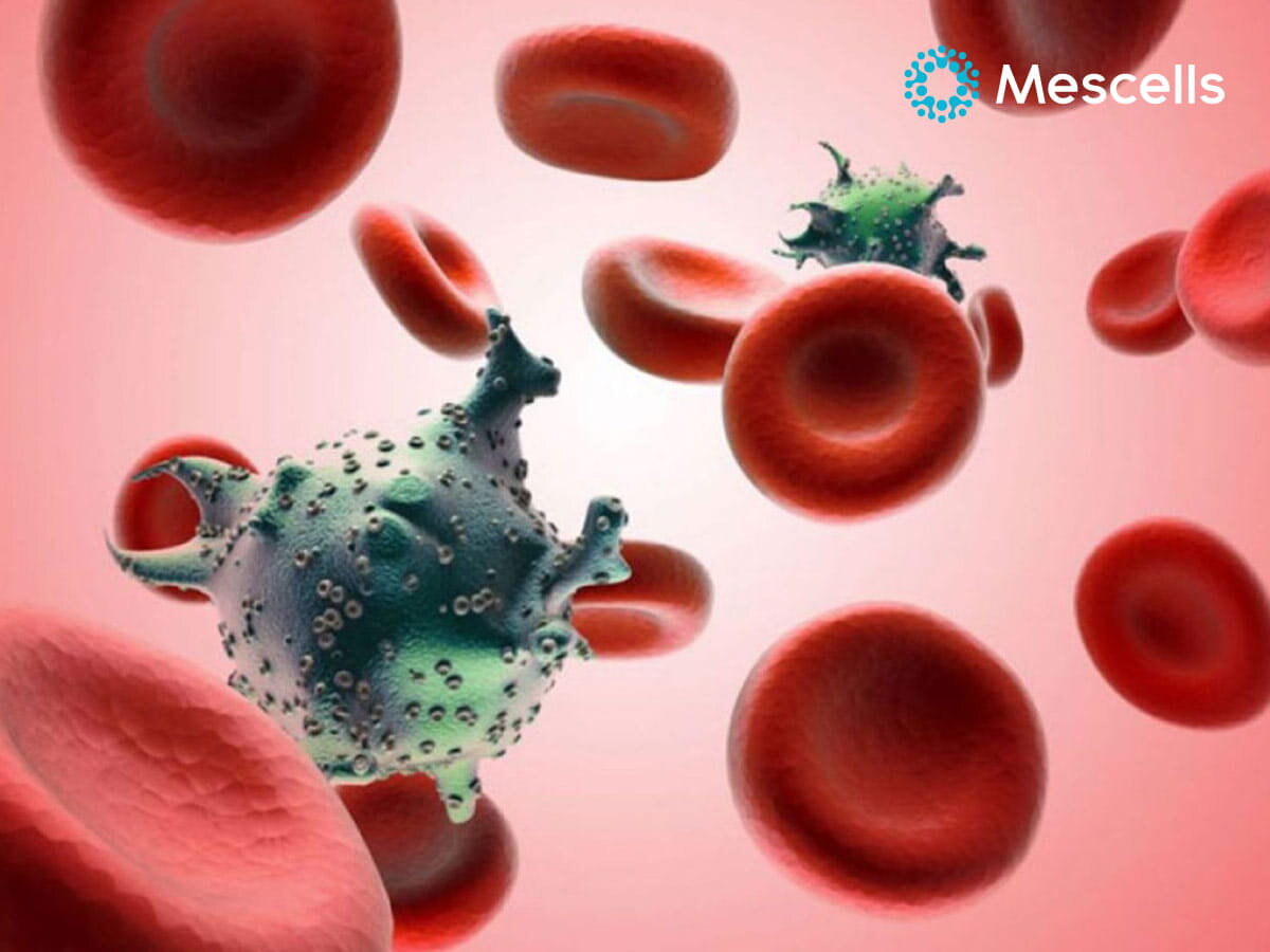 te-bao-goc-ung-thu-2