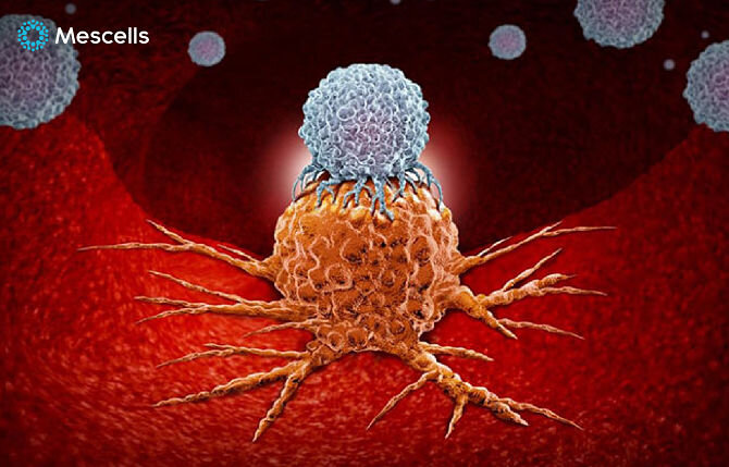 tiem-te-bao-goc-co-hai-khong-2