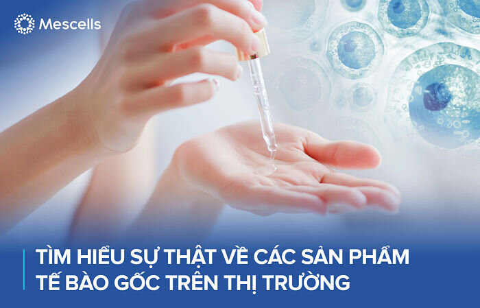 san-pham-te-bao-goc-4