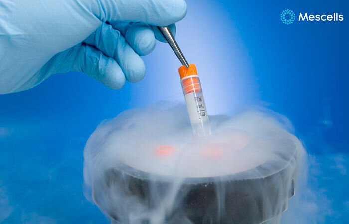 san-pham-te-bao-goc-2