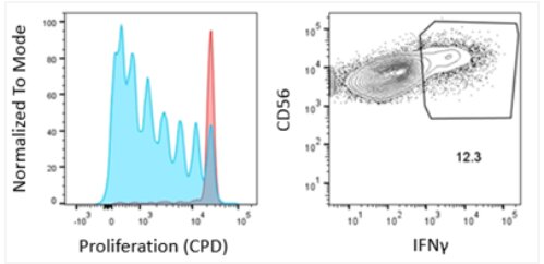 xet-nghiem-te-bao-nk-2