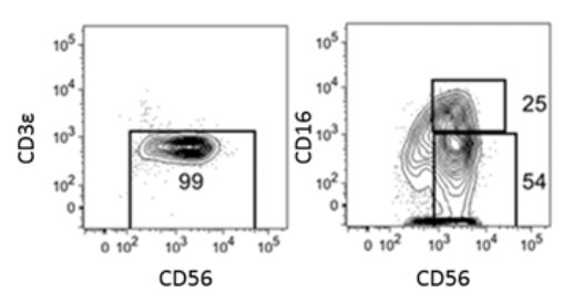 xet-nghiem-te-bao-nk-1