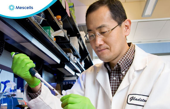 te-bao-goc-cua-nhat-2