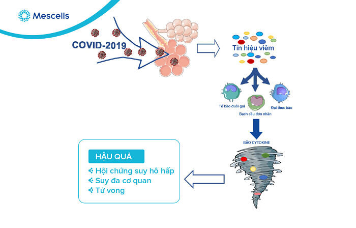 te-bao-goc-cua-nhat-4