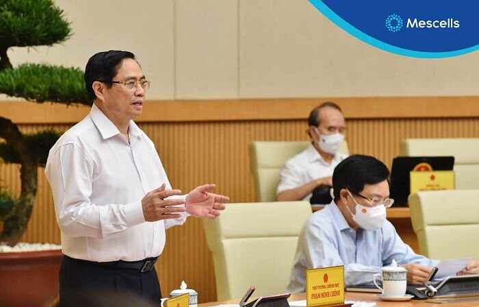 ung-dung-te-bao-goc-va-huyet-tuong-co-chua-khang-the-chong-sarscov2-trong-dieu-tri-covid19-1-1