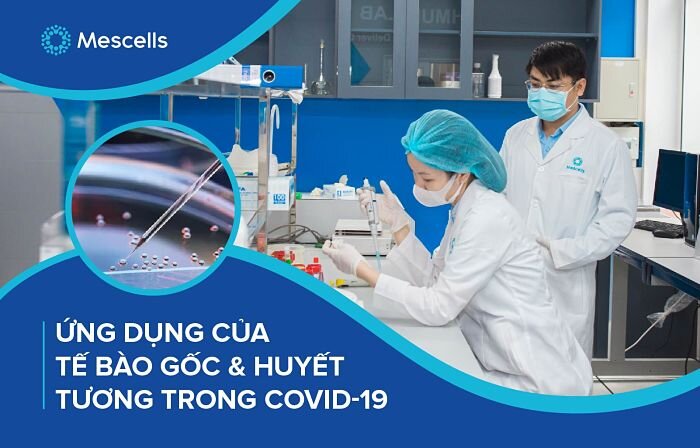 ung-dung-te-bao-goc-va-huyet-tuong-co-chua-khang-the-chong-sarscov2-trong-dieu-tri-covid19-2-1