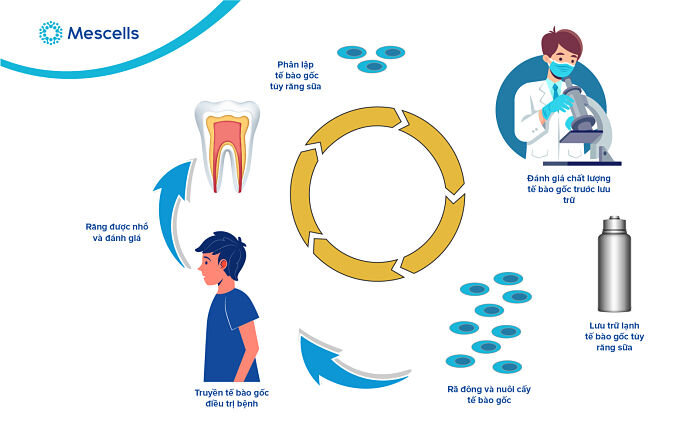 ngan-hang-te-bao-goc-rang-sua-3