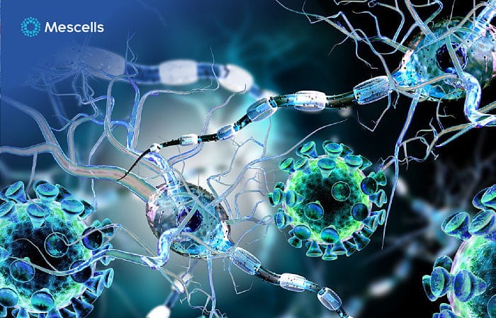 luu-tru-te-bao-goc-3