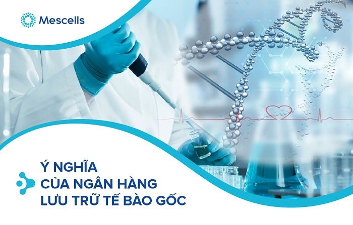 ngan-hang-luu-tru-te-bao-goc-1